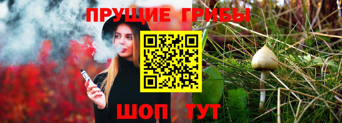 что такое наркотик  Галлюциногенные грибы Magic Shrooms  Вход с VPN  Белгород  Псилоцибиновые грибы Psilocybine cubensis 